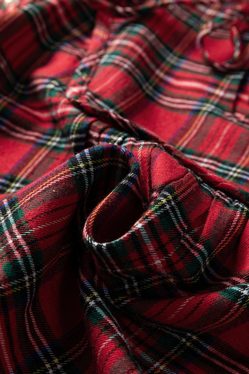 Christmas Plaid Pearl Embellished Ruffle Sleeve Blouse - Image 7