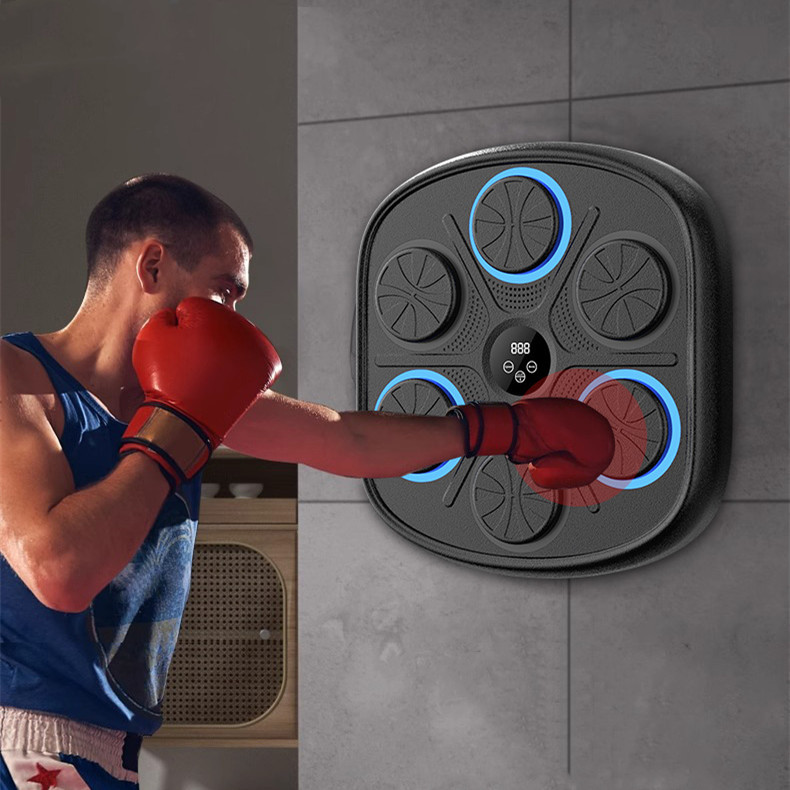 Music Boxing Target Training Wall Target Fitness Equipment - Image 1