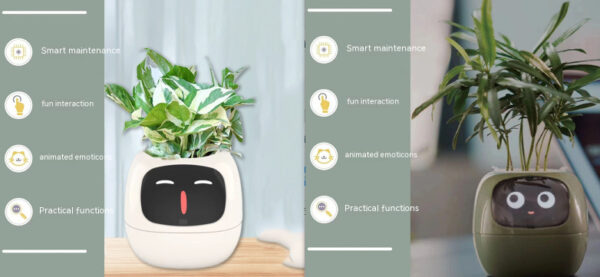 Smart Planter Endless Fun Over 49 Rich Expressions 7 Smart Sensors And AI Chips Make Raising Plants Easy And Fun - Image 77