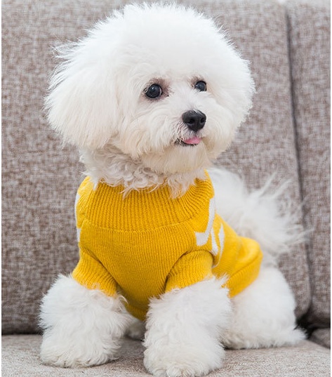 Dog clothes - Image 9