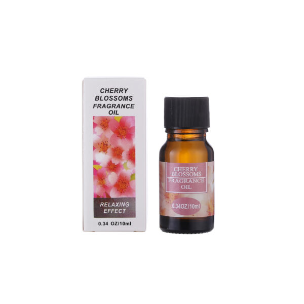 Aromatherapy essential oil humidifier - Image 16