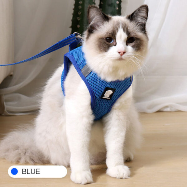 Anti-strike cat traction cat harness - Image 11