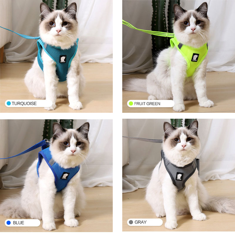 Anti-strike cat traction cat harness - Image 3