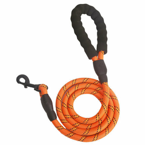 Reflective Nylon Braided Traction Rope Dog Explosion-Proof Rushing Dog Walking Rope - Image 5