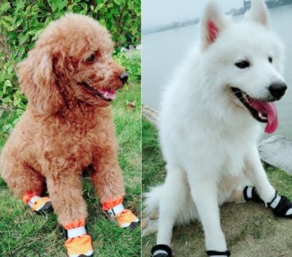 Winter Dog Shoes Reflective Warm Pet Dog Boots Waterproof Dog Rain Shoes - Image 4