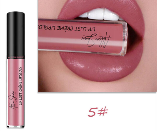 Silky Cream Texture Lip Gloss Aliexpress Shopee Cross-Border Exclusive Lip Glaze Lip Gloss Lipstick - Image 24