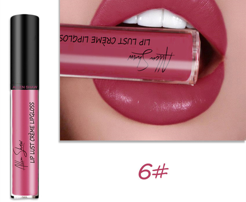 Silky Cream Texture Lip Gloss Aliexpress Shopee Cross-Border Exclusive Lip Glaze Lip Gloss Lipstick - Image 5