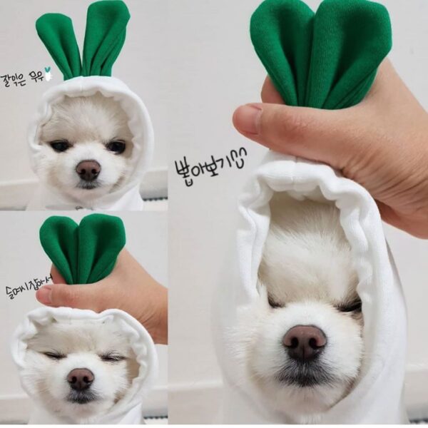 Cute Fruit Dog Clothes For Small Dogs Hoodies Winter Warm Fleece Pet Clothing Puppy Cat Costume Coat For French Chihuahua Outfit - Image 43