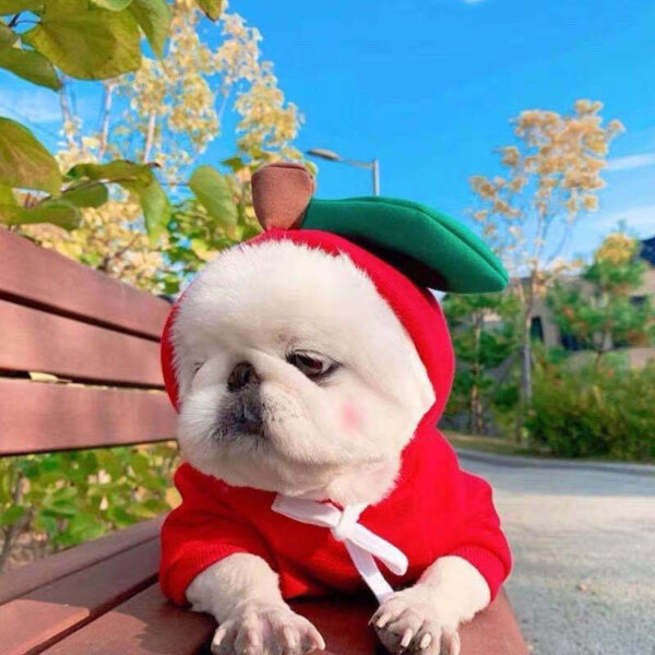 Cute Fruit Dog Clothes For Small Dogs Hoodies Winter Warm Fleece Pet Clothing Puppy Cat Costume Coat For French Chihuahua Outfit - Image 22