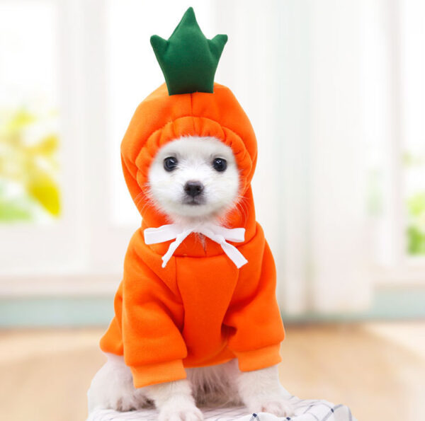 Cute Fruit Dog Clothes For Small Dogs Hoodies Winter Warm Fleece Pet Clothing Puppy Cat Costume Coat For French Chihuahua Outfit - Image 36