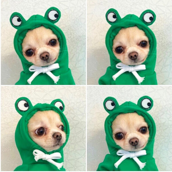 Cute Fruit Dog Clothes For Small Dogs Hoodies Winter Warm Fleece Pet Clothing Puppy Cat Costume Coat For French Chihuahua Outfit - Image 48