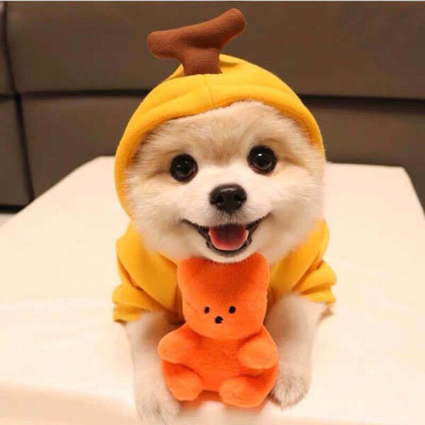 Cute Fruit Dog Clothes For Small Dogs Hoodies Winter Warm Fleece Pet Clothing Puppy Cat Costume Coat For French Chihuahua Outfit - Image 60