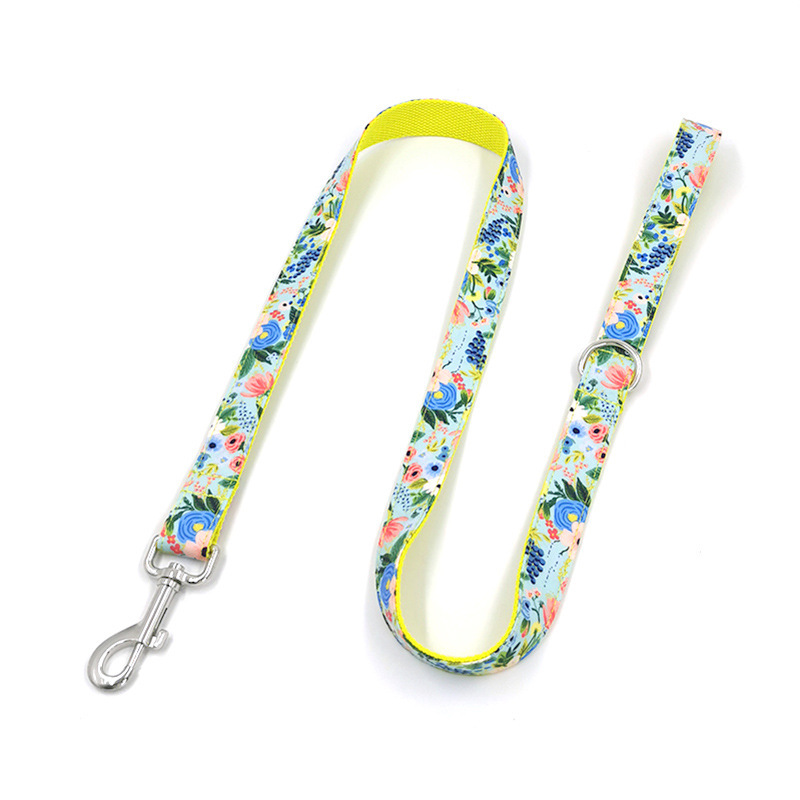 New Dog Leash, Big Dog Leash, Dog Leash, Pet Collar, Medium-sized Dog, Dog Leash, Dog Chain, Collar Set - Image 10