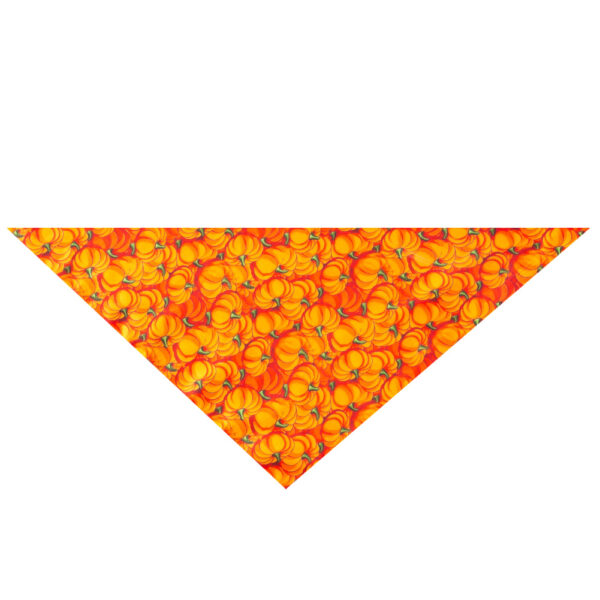 Halloween pet saliva towel - Image 9