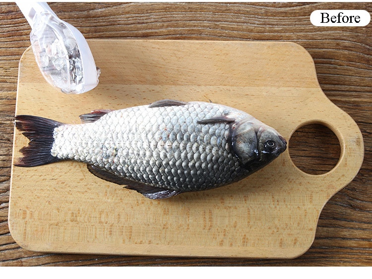 Fish Skin Brush Scraping Fish Scale Brush Grater Quick Disassembly Fish Knife Cleaning Peeling Skin Scraper Scraper Fish Scaler Kitchen Tools - Image 12