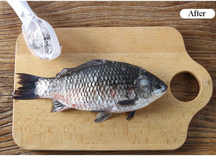 Fish Skin Brush Scraping Fish Scale Brush Grater Quick Disassembly Fish Knife Cleaning Peeling Skin Scraper Scraper Fish Scaler Kitchen Tools - Image 13