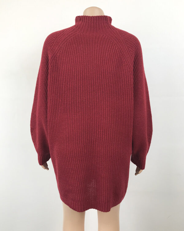 Solid Turtleneck Long Sweater Winter Warm Women Sweater Dress - Image 25