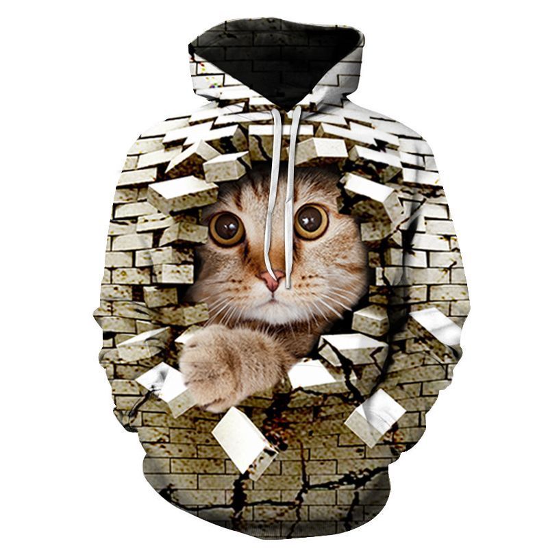 Couples Hoodie With 3D Digital Cat Print - Image 110