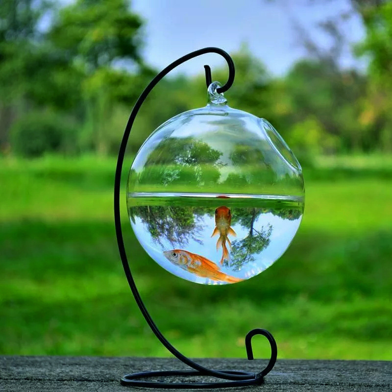 Hanging Glass Vase Fish Tank - Image 7