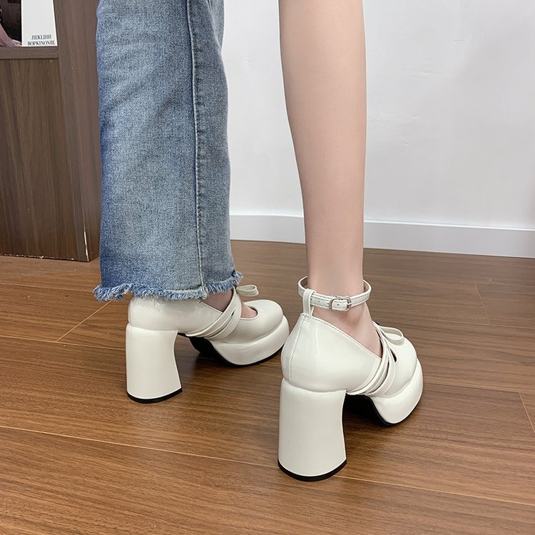 French Style Super High Heel Retro Mary Janes For Women  2026 Spring New Fashion Versatile Platform Block Heel Pumps - Image 10