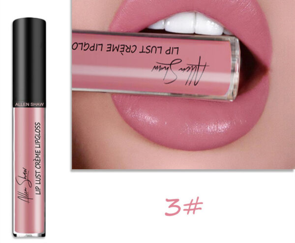 Silky Cream Texture Lip Gloss Aliexpress Shopee Cross-Border Exclusive Lip Glaze Lip Gloss Lipstick - Image 13