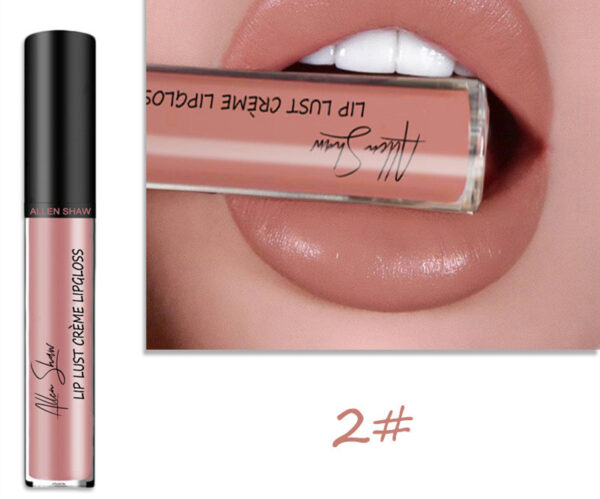Silky Cream Texture Lip Gloss Aliexpress Shopee Cross-Border Exclusive Lip Glaze Lip Gloss Lipstick - Image 11