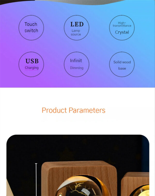 Beech Crystal Ball Night Light 3D Laser Engraving Elk Jellyfish LED Nightlights USB Dimmable Lamp For Bedroom Decoration Gifts Home Decor - Image 16