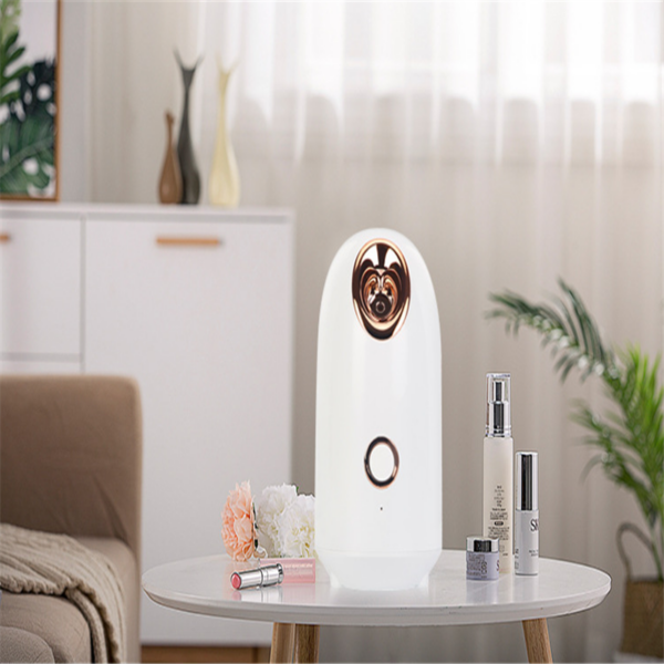 Beauty Steamer - Image 12