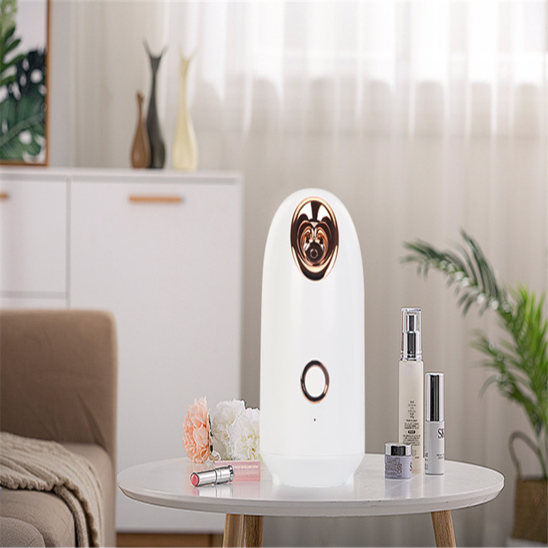 Beauty Steamer - Image 12