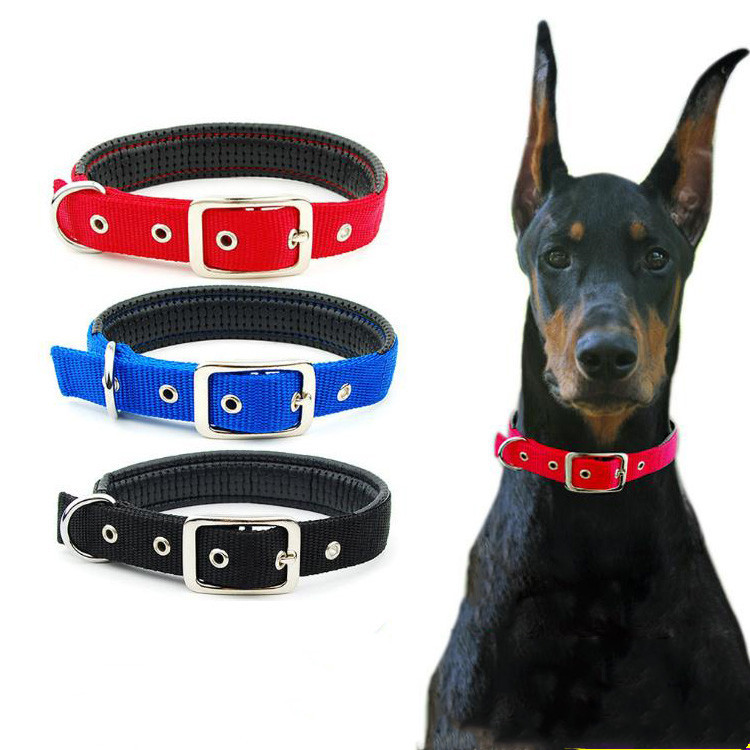 Medium and large dog collars - Image 1