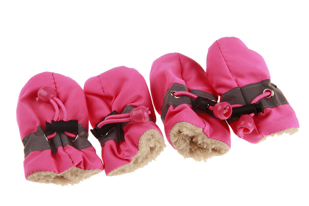 Dog Shoes - Image 3