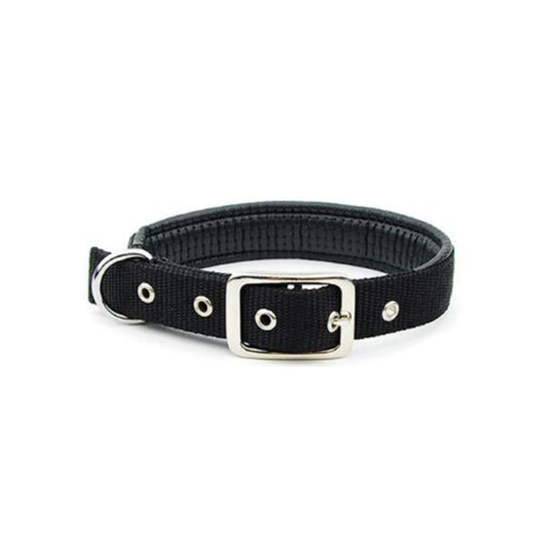 Medium and large dog collars - Image 5