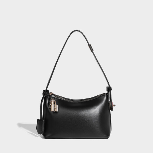 Special Interest Light Luxury Women's Bags Classical Spring Underarm Bag - Image 5
