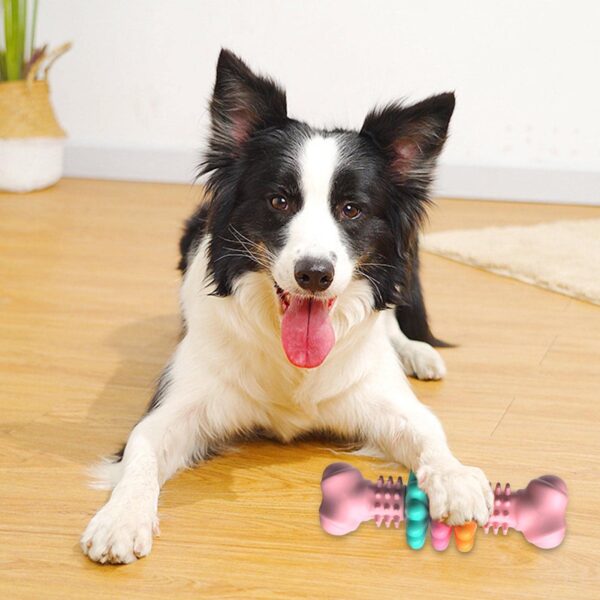 Dog Chew Toy Dog Bone Type  Dogs Teeth Cleaning Toys Indestructible TPR Bone Chewing Bite Resistant Teething Toys  Pet Products - Image 17