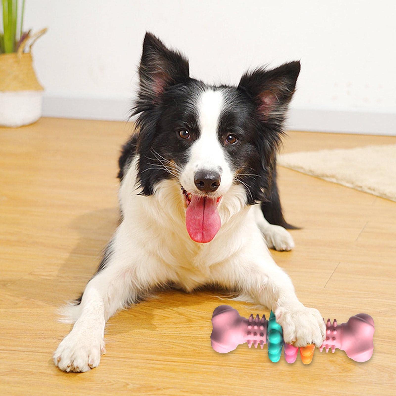 Dog Chew Toy Dog Bone Type  Dogs Teeth Cleaning Toys Indestructible TPR Bone Chewing Bite Resistant Teething Toys  Pet Products - Image 17