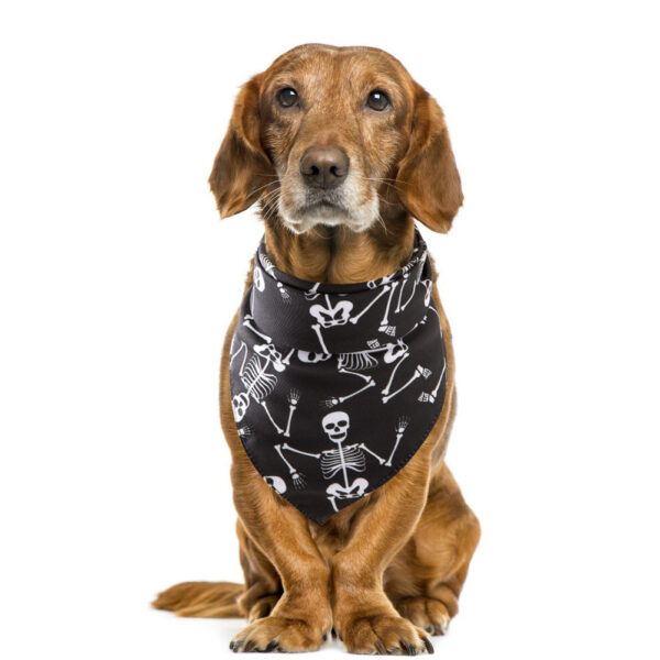 Halloween pet saliva towel - Image 20