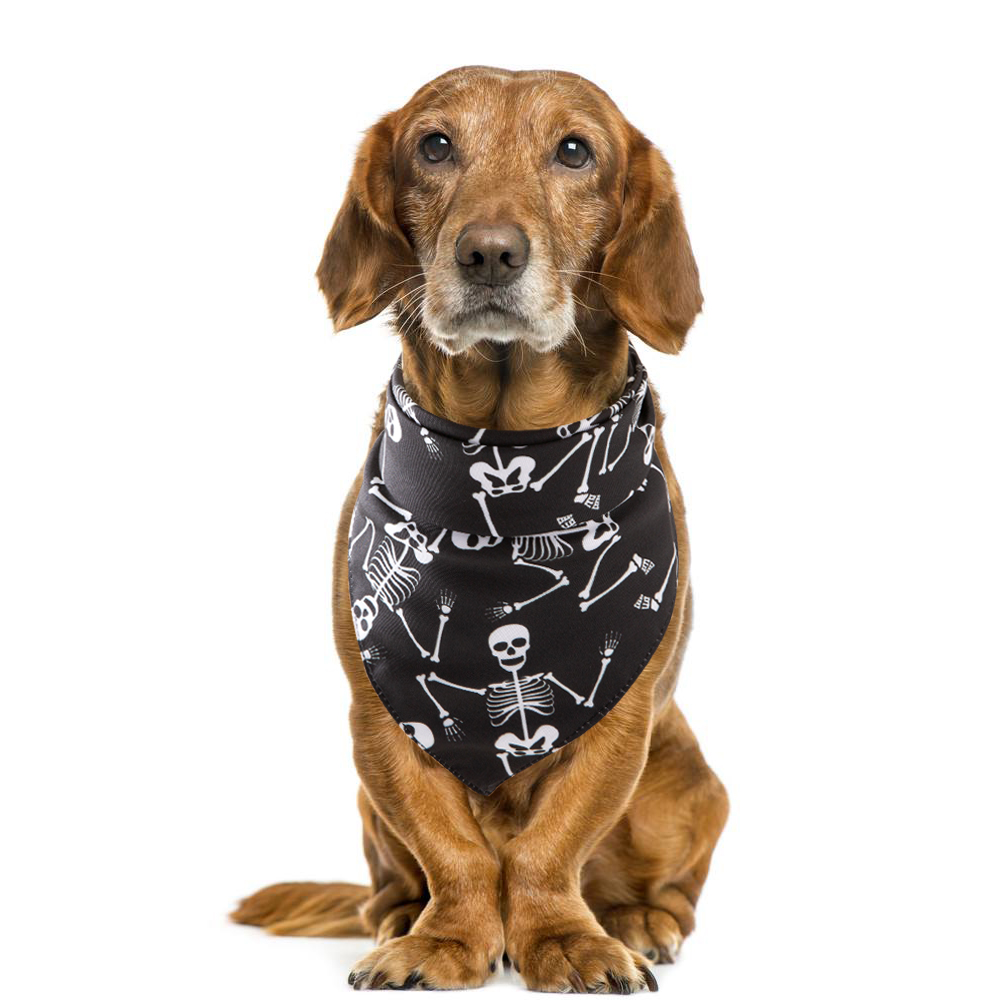 Halloween pet saliva towel - Image 20