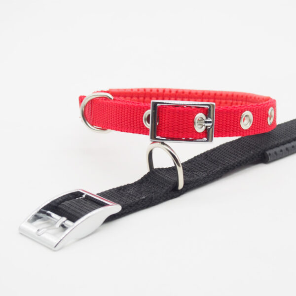 Medium and large dog collars - Image 3