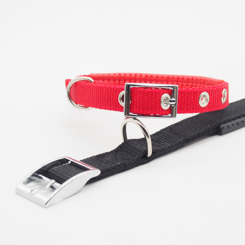 Medium and large dog collars - Image 3