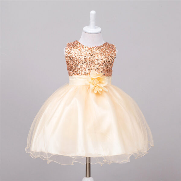 Baby Sequin Dress Flower Girl Wedding Princess Dress - Image 48