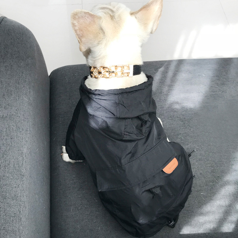 Sunscreen for dogs - Image 7