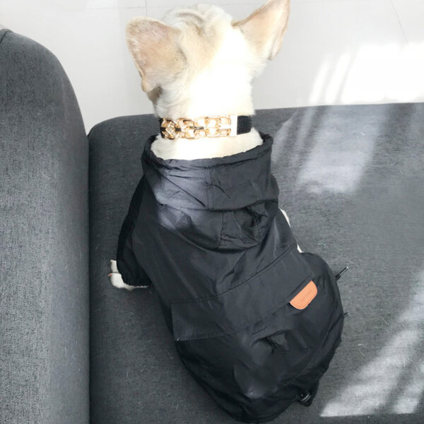 Sunscreen for dogs - Image 11