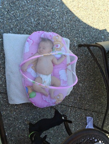 Portable Foldable Baby Kids Infant Bed Dot Zipper Mosquito Net Tent Sleeping Cushion - Image 2
