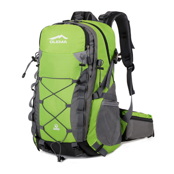 Large-capacity Water-resistant Travel Backpack - Image 3
