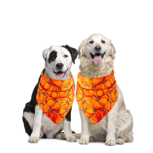 Halloween pet saliva towel - Image 15