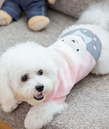 Dog clothes - Image 10