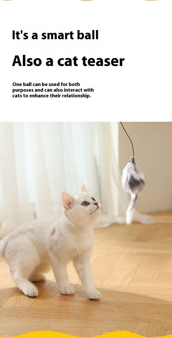 Cat Toys Mouse Teaser Ball Funny Moving Toy For Pets Cat Dog Electric Teaser Ball Automatic Intelligent Rolling Ball Pet Products - Image 13