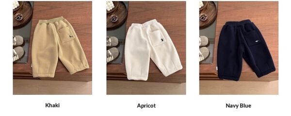 Fleece-lined Embroidered Thickened Casual Warm Pants - Image 11