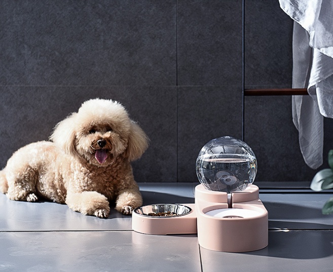 Automatic Pet Water Bowl - Image 3