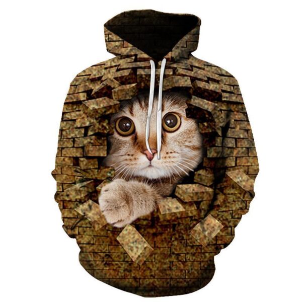 Couples Hoodie With 3D Digital Cat Print - Image 123